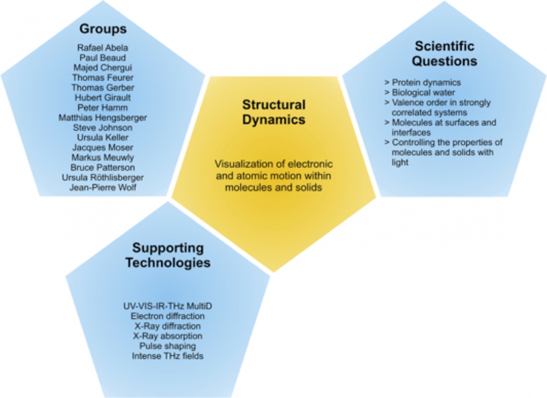 Structural Dynamics Foundation Repair, Structural